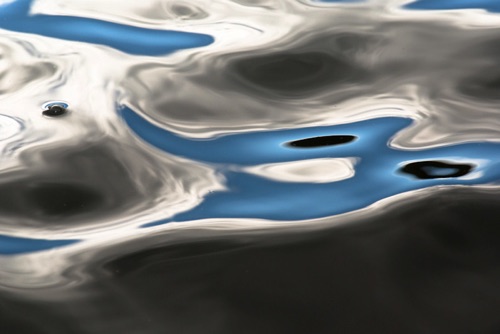 Water Detail, Upland Pond, Sussex County, NJ 09 07 (6955SA).jpg Water Detail, Upland Pond, Sussex County, NJ 09 07 (6955SA).jpg